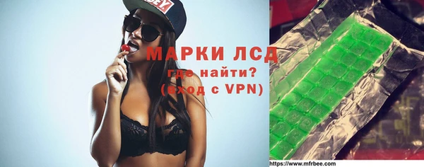 спайс Бородино